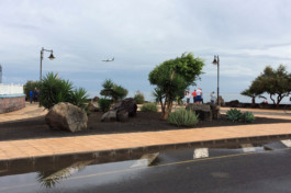 Andy Heller, Plainspotting 