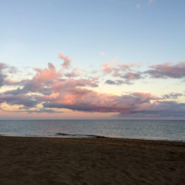 Andy Heller, Plainspotting 