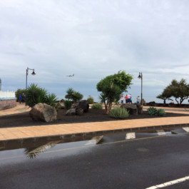 Andy Heller, Plainspotting 