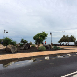 Andy Heller, Plainspotting 