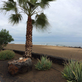 Andy Heller, Plainspotting 