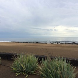 Andy Heller, Plainspotting 