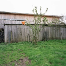 Andy Heller, räumen