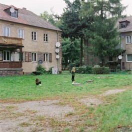 Andy Heller, still und leise