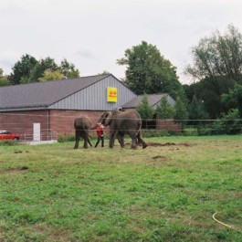 Andy Heller, still und leise