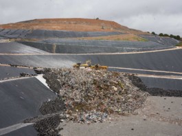 Andy Heller, Staygration 