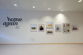HOME AGAIN, exhibition curated by Andy Heller & Oliver Krebs, Willy-Brandt-Haus, Göran Gnaudschun 
