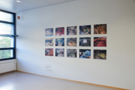 HOME AGAIN, exhibition curated by Andy Heller & Oliver Krebs, Willy-Brandt-Haus, M L Casteel 