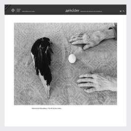 dekoder, Siarhej Leskiec, Bildredaktion, picture editor Andy Heller 